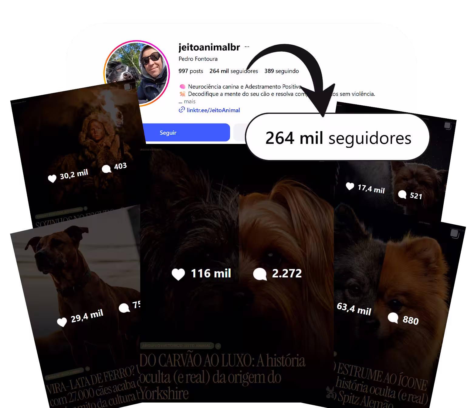Jeito Animal